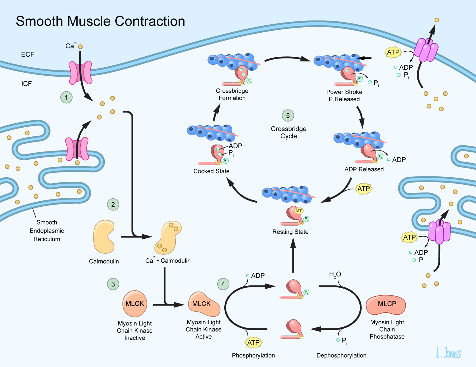 Open Science - Image Gallery