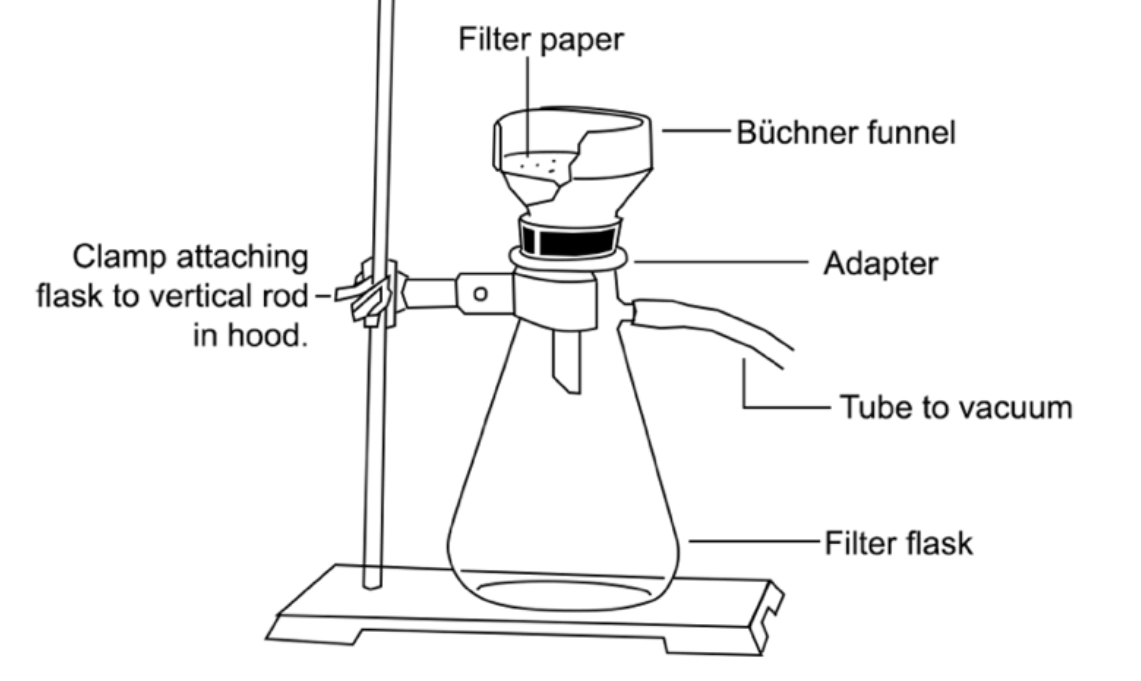Vacuum filtration assembly, showing the Buchner funnel on top of a filter flask connected to the vacuum