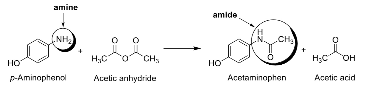 Reaction between 4-aminophenol and acetic anhydride to give acetaminophen and acetic acid as products